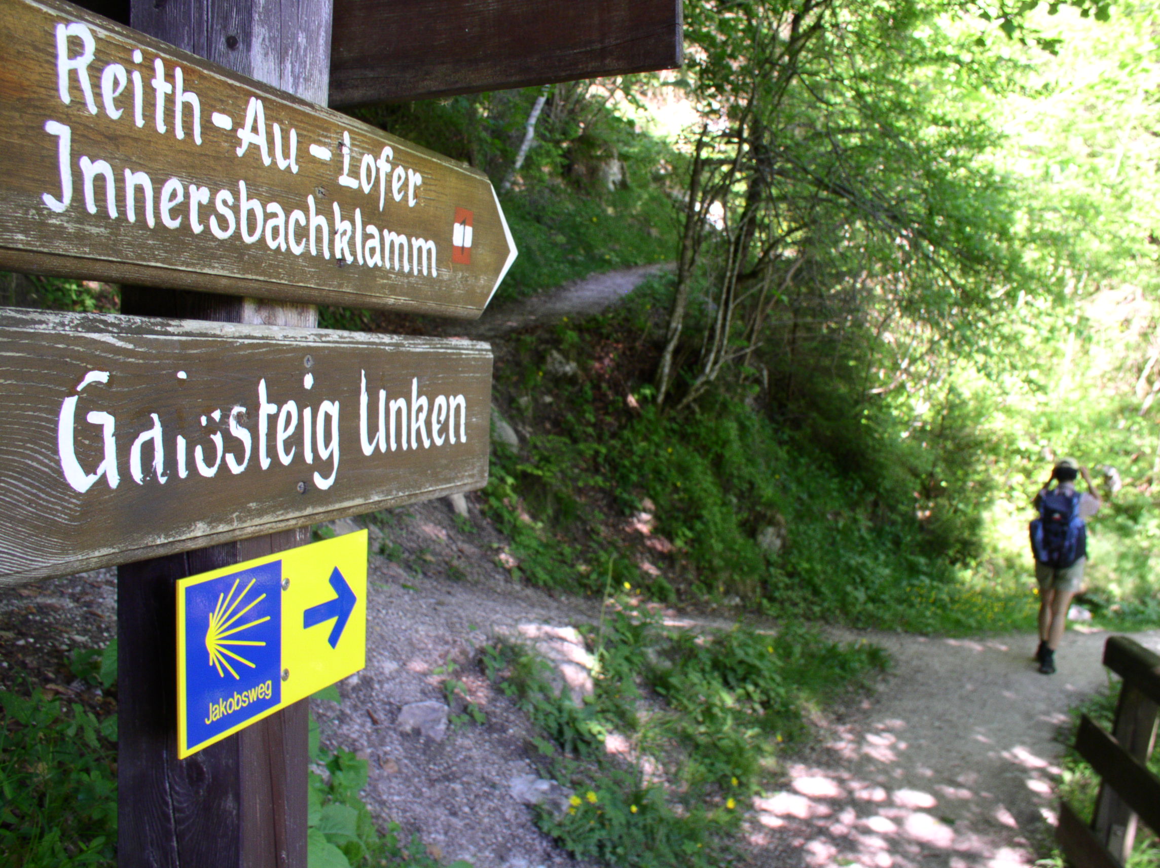 Hölzerne Wegweiser und ein gelber Pfeil weisen einem Pilgernden Wanderer den Weg über einen ruhigen Waldweg.