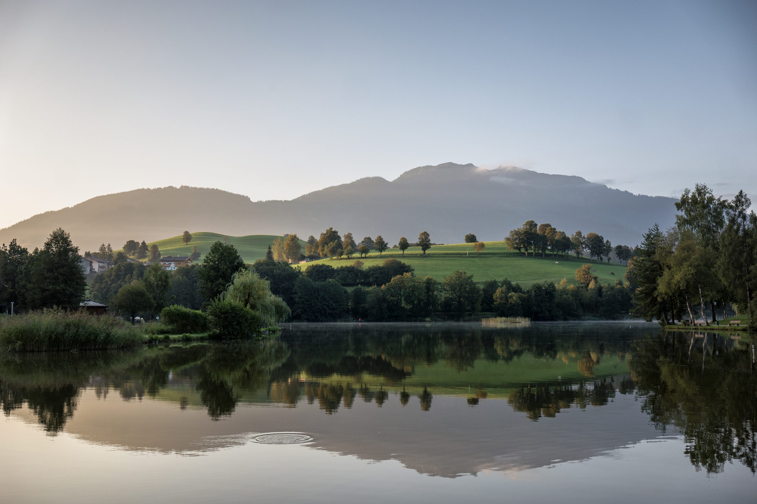 Ein ruhiger See, in dem sich grüne Hügel, Bäume und ferne Berge unter einem klaren Himmel bei Sonnenaufgang spiegeln.
