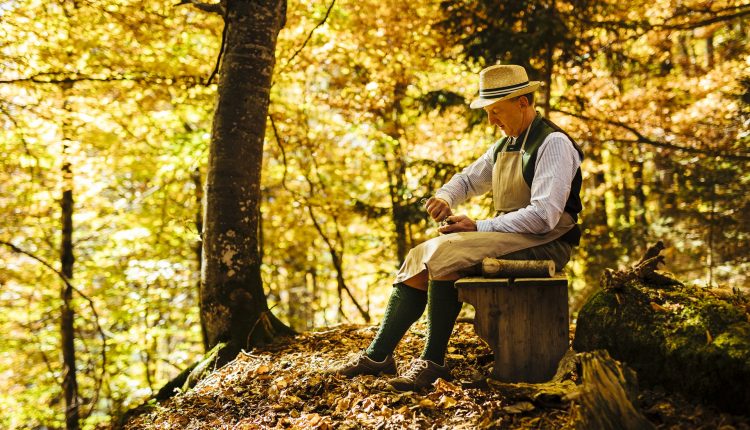 Bauernherbst unter dem Thema Wald