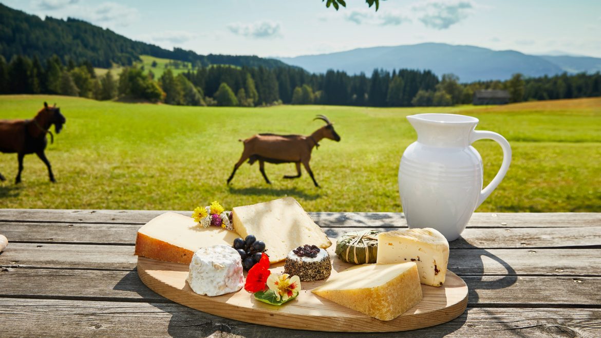 Eine BioParadies-Käseplatte und ein weißer Krug auf einem Holztisch, mit Ziegen und grünen Hügeln im Hintergrund.