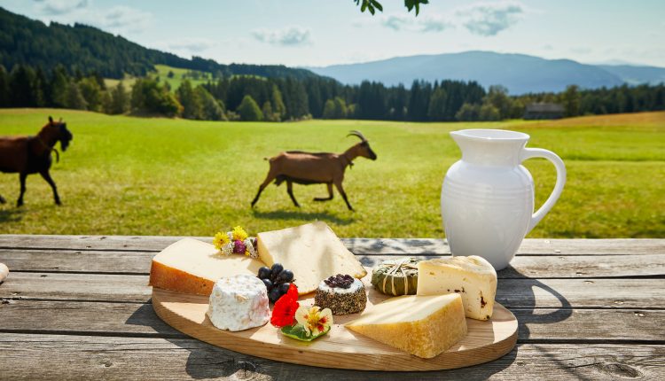 Eine BioParadies-Käseplatte und ein weißer Krug auf einem Holztisch, mit Ziegen und grünen Hügeln im Hintergrund.