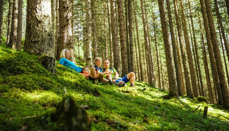 Vier Personen sitzen auf einem moosbewachsenen Waldboden im Herzen der Kernmärkte, während das Sonnenlicht durch die hohen Bäume fällt.