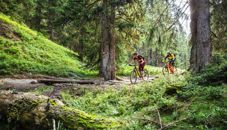 Zwei Personen fahren mit CEE-Mountainbikes auf einem Waldweg, umgeben von üppig grünen Bäumen und Sonnenlicht.