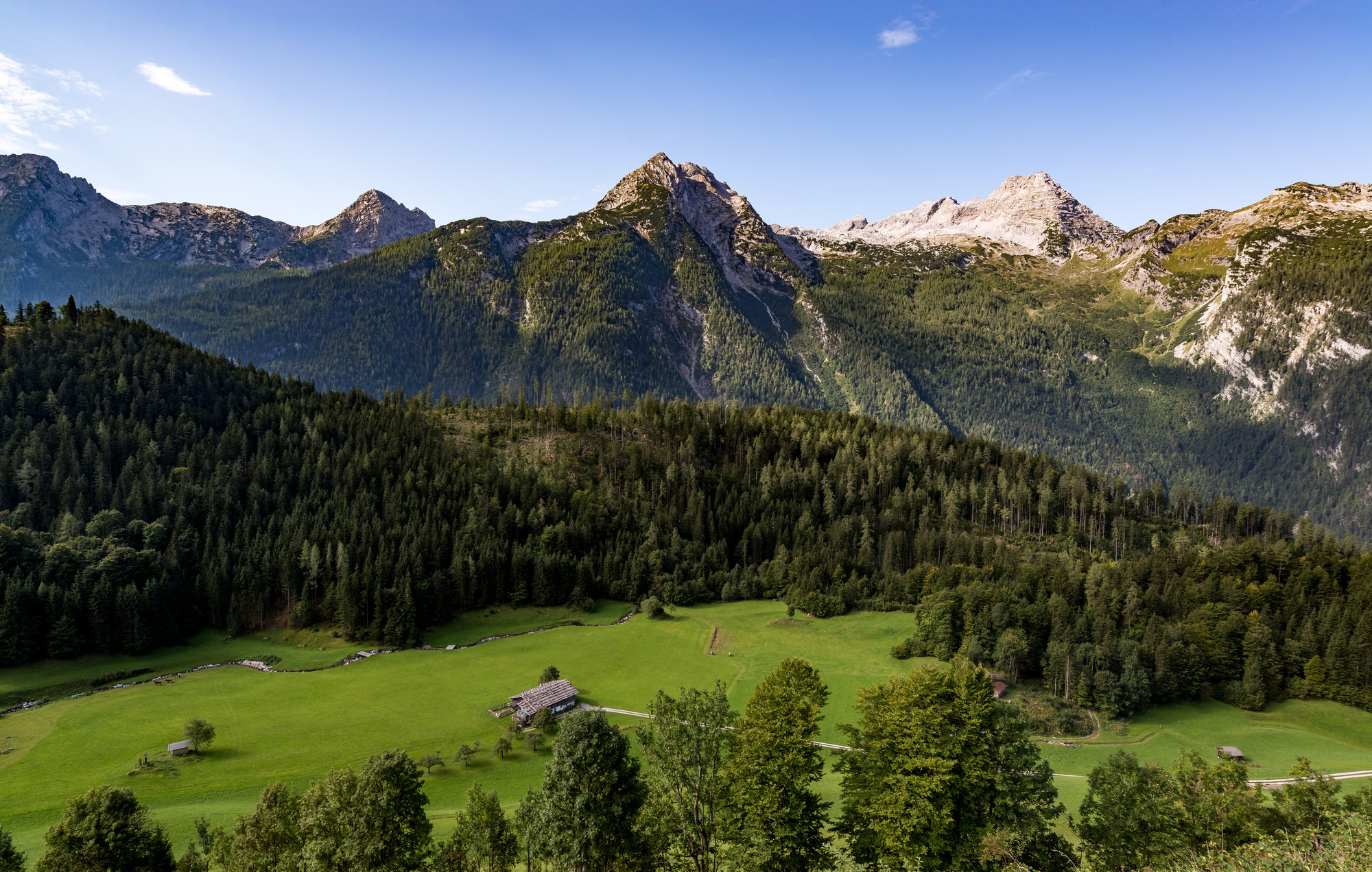 Ein grünes Tal mit verstreuten Hütten, dichten Kiefernwäldern und hohen Bergen unter einem klaren blauen Himmel.