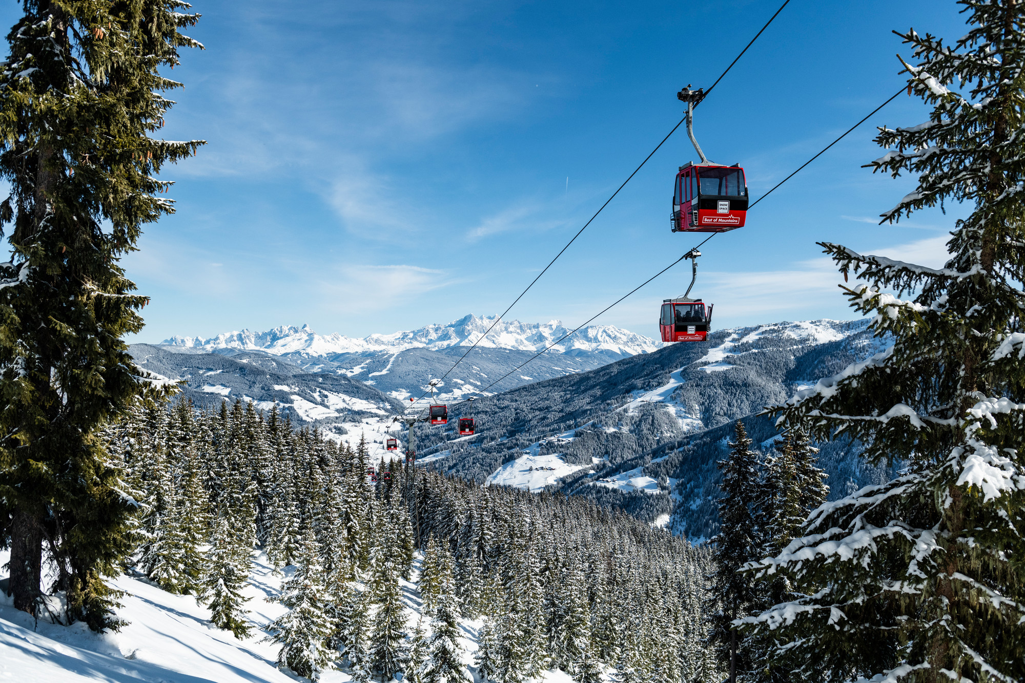 Rote Seilbahnen fahren über schneebedeckte Kiefern und Berge unter einem klaren blauen Himmel.