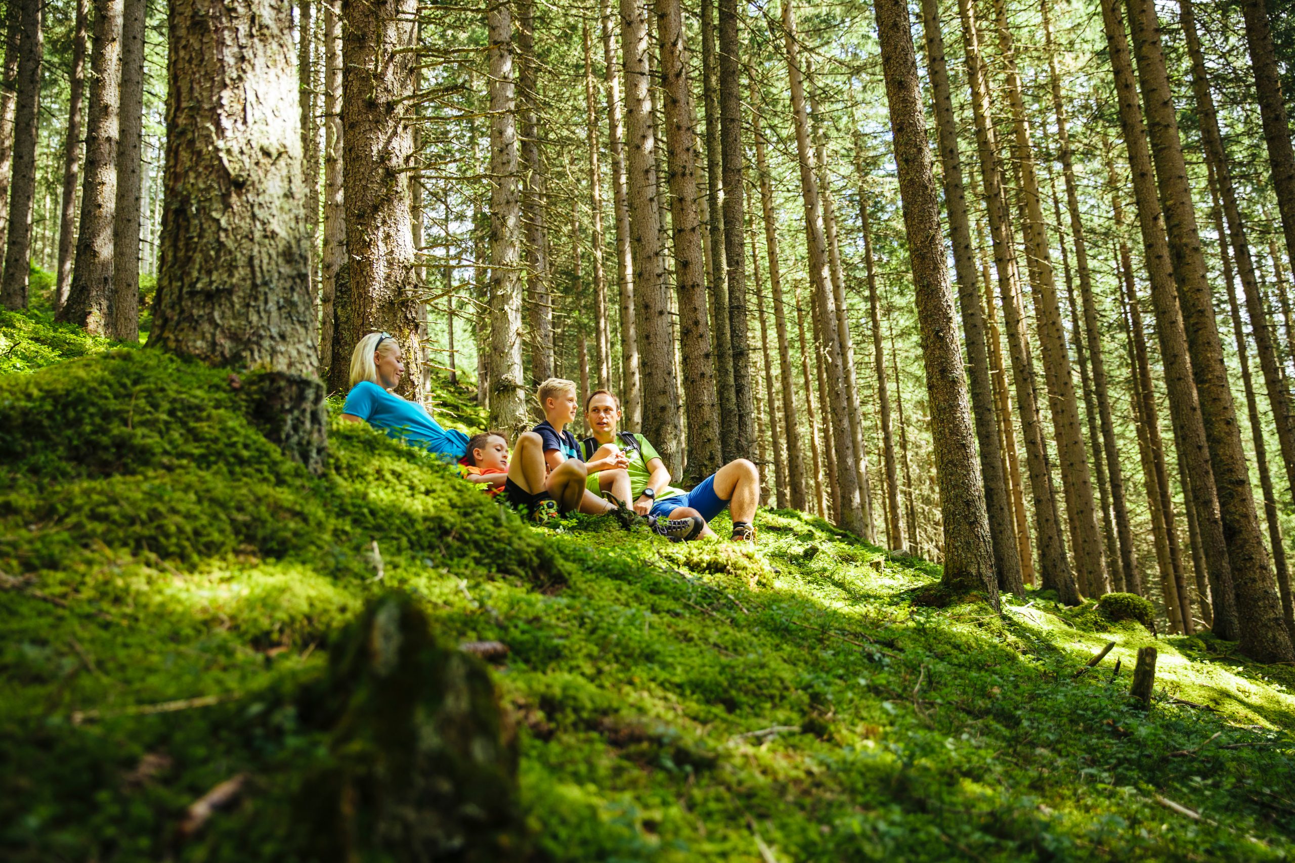 Vier Personen sitzen auf einem moosbewachsenen Hügel in einem dichten, sonnenbeschienenen Wald, der von hohen Bäumen umgeben ist, und entspannen sich.