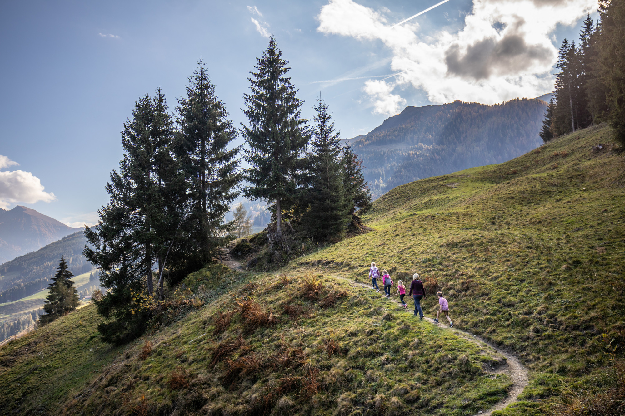 Eine Gruppe von Menschen wandert an einem sonnigen Tag einen grasbewachsenen, gewundenen Pfad durch Hügel und Kiefern hinauf.