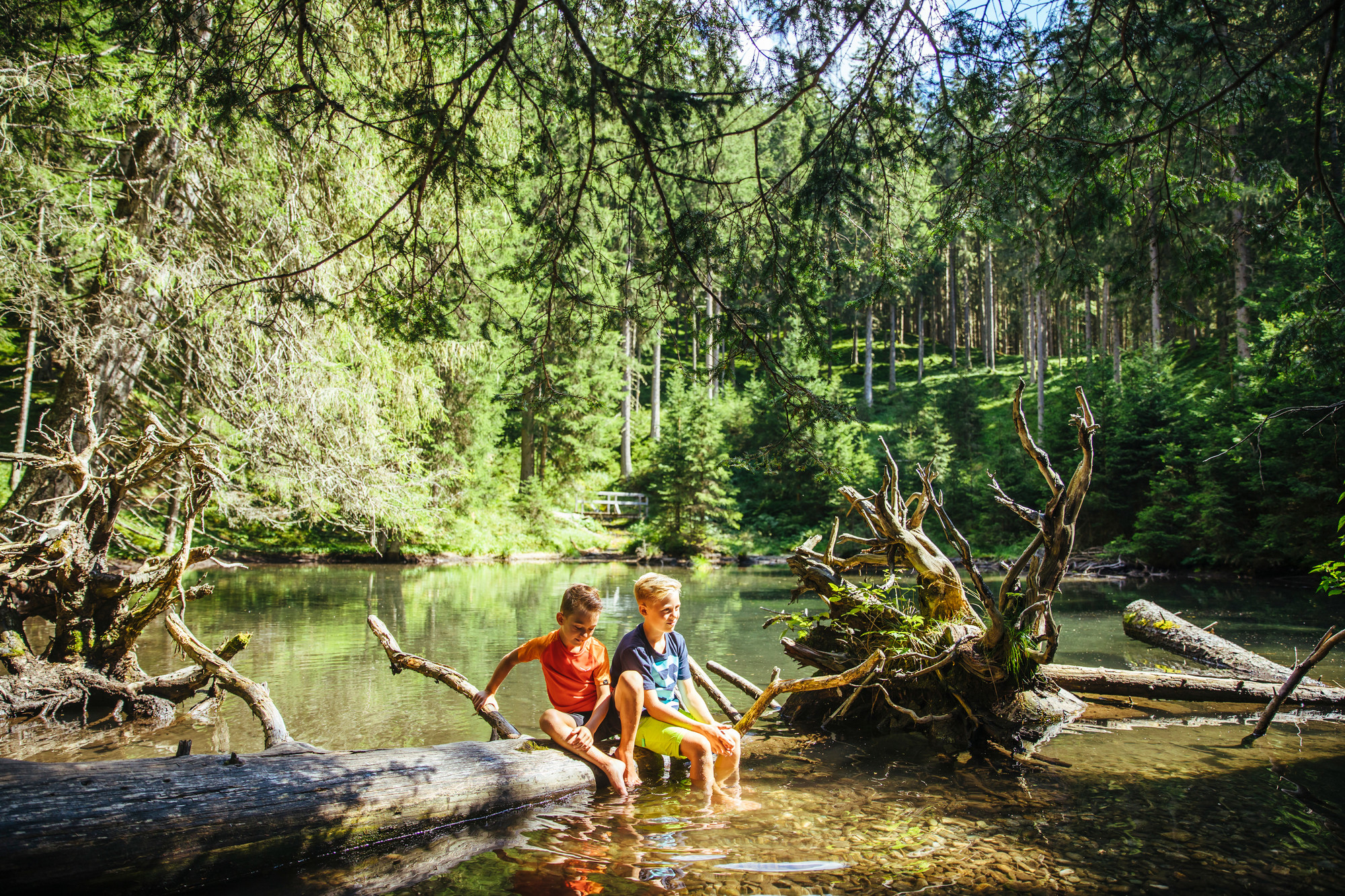 Zwei Kinder sitzen auf einem umgestürzten Baumstamm an einem klaren Waldbach und tauchen an einem sonnigen Tag ihre Füße ins Wasser.