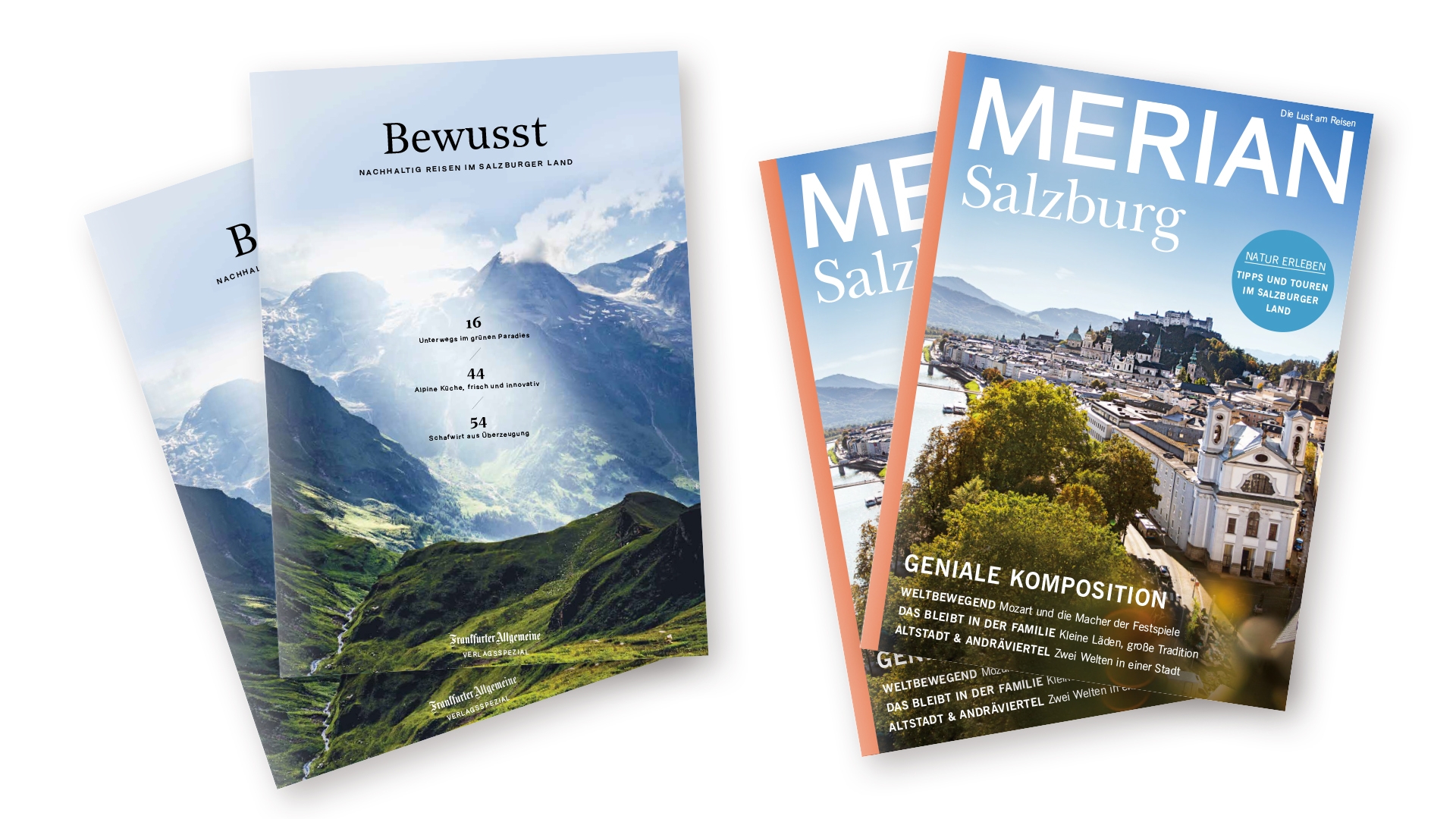 Titelbild FAZ & MERIAN