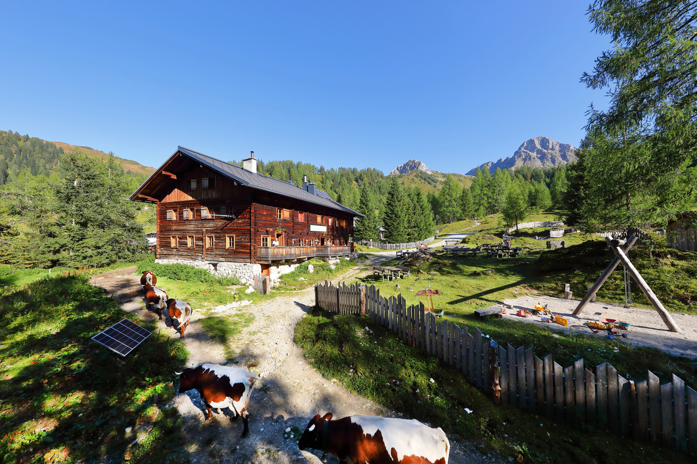 Eine hölzerne Almsommerhüttenwahl-Hütte mit grasenden Kühen, Spielplatz und bewaldeten Hügeln unter einem klaren blauen Himmel.