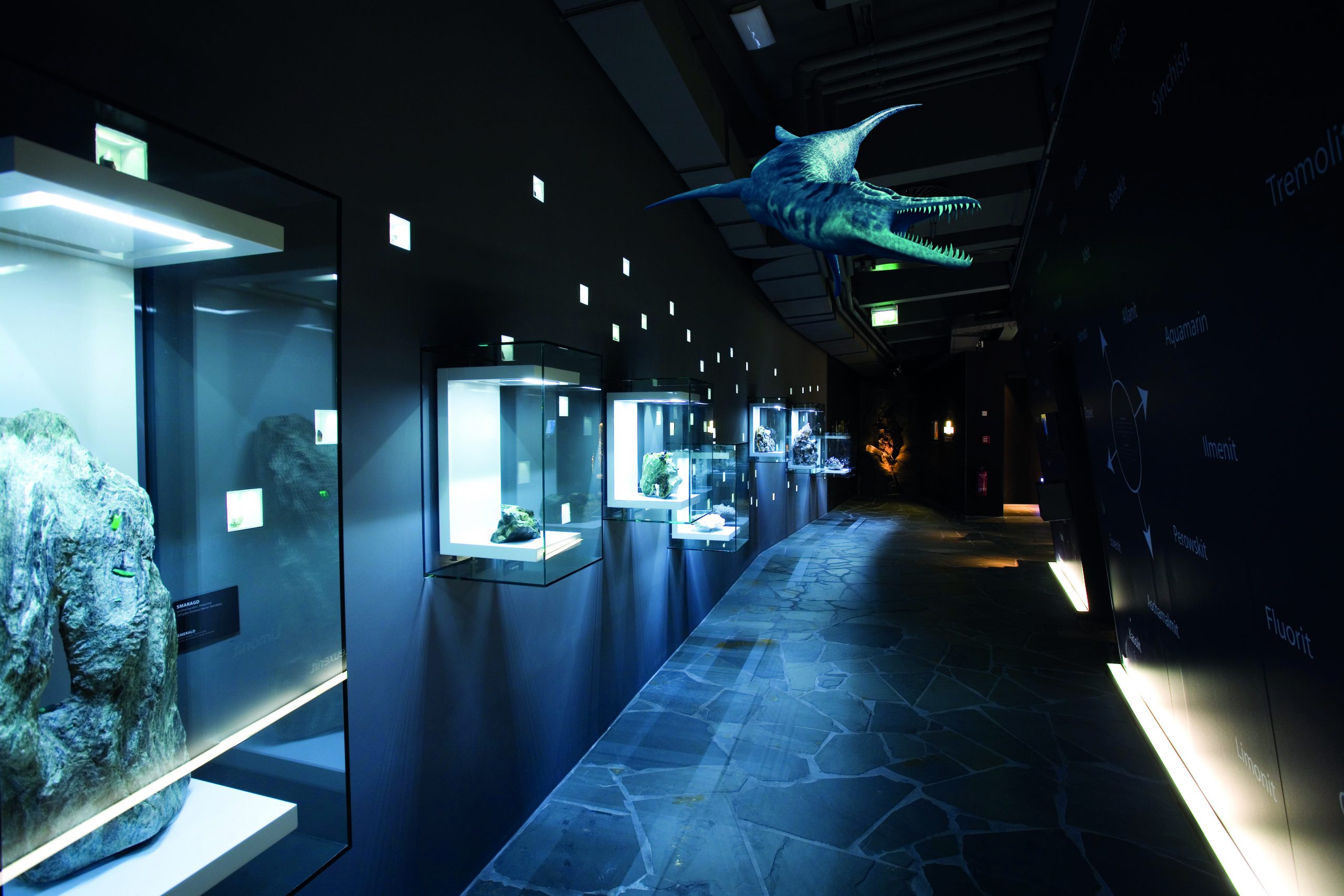 Schummerig beleuchteter Museumsflur mit Glasvitrinen mit Steinen und einem großen Modell eines Meeresreptils, das von der Decke hängt.